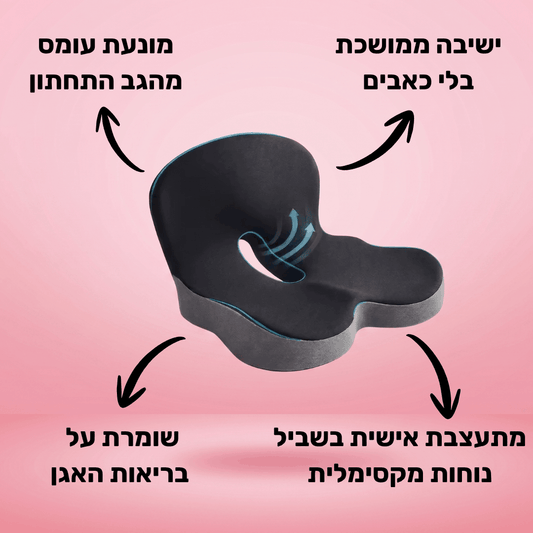 כרית ה-U של דילן