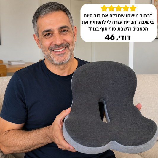 כרית ה-U של דילן