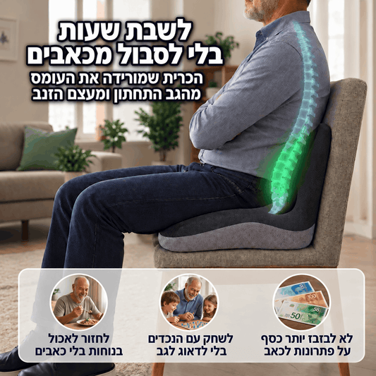 כרית ההקלה בישיבה של דילן