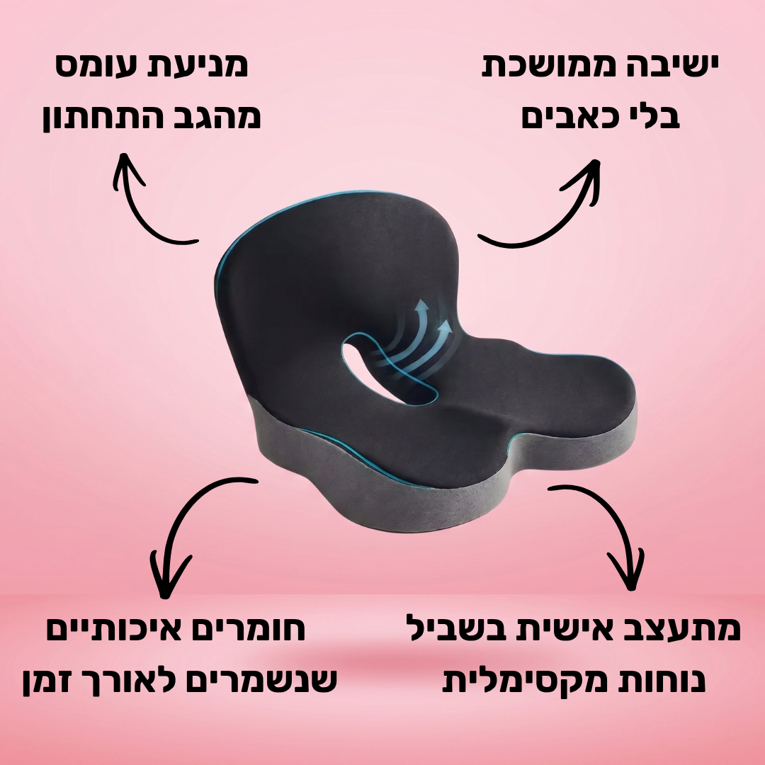 כרית ה-U של דילן