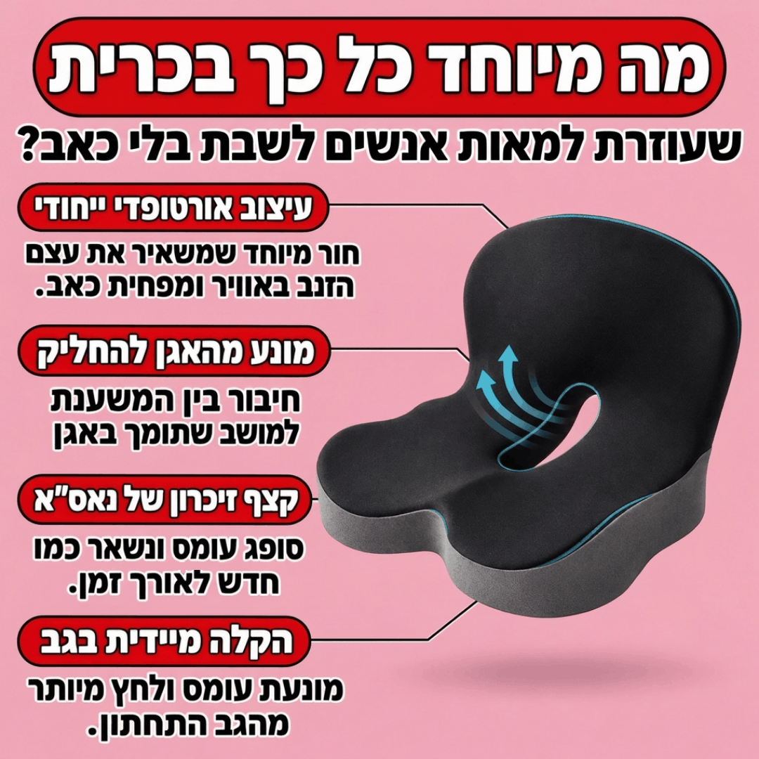 כרית ההקלה בישיבה של דילן