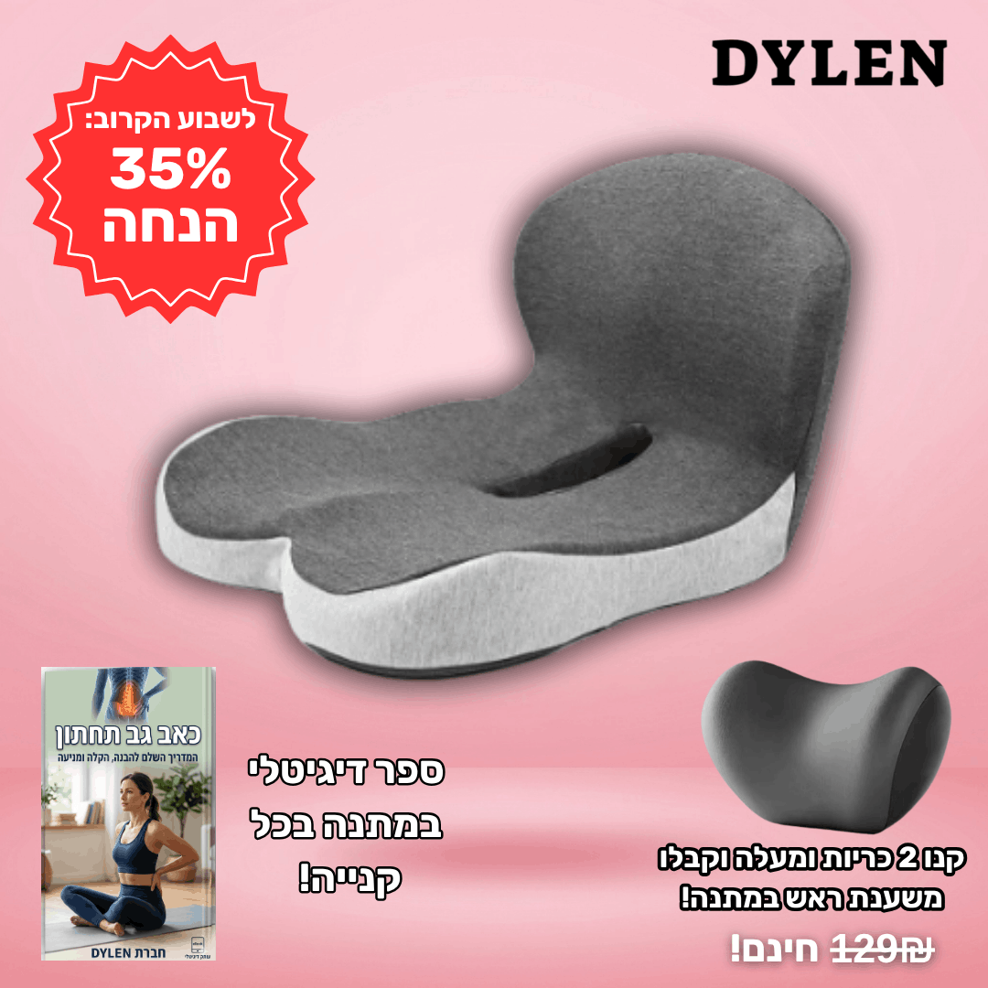 כרית ה-U של דילן