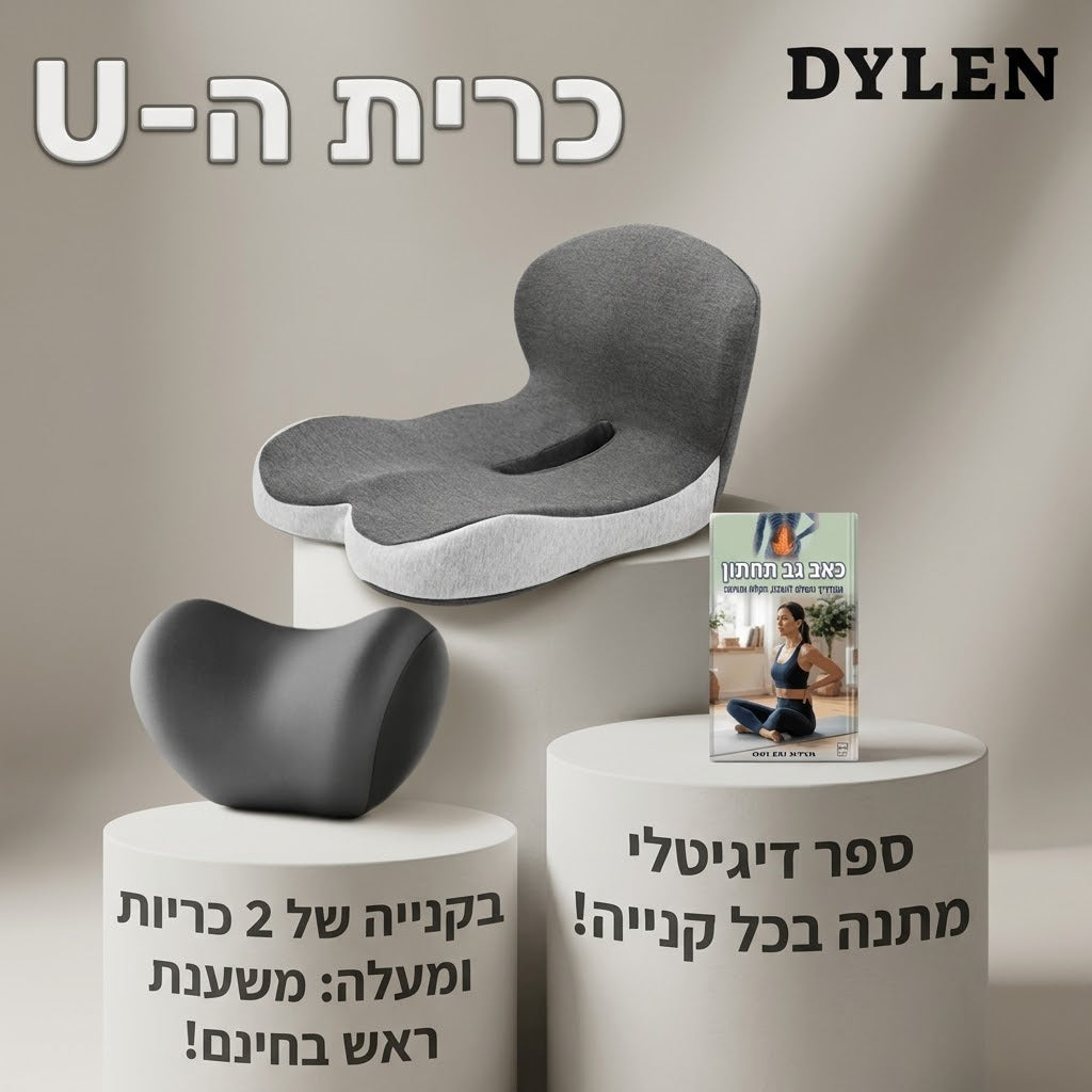 כרית ההקלה בישיבה של דילן