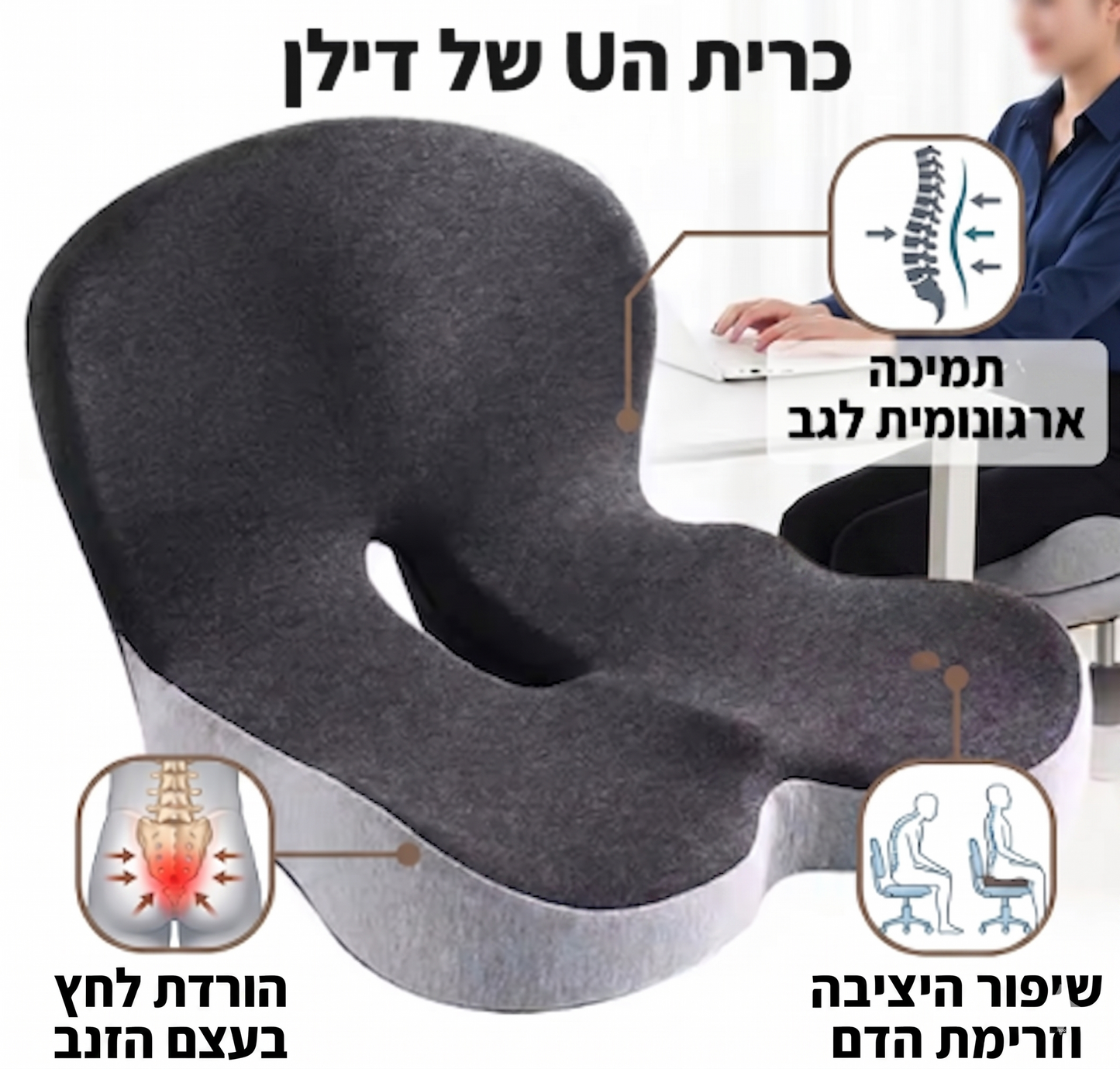 כרית ה-U של דילן