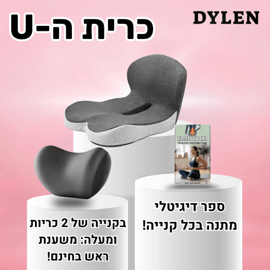 כרית ההקלה בישיבה של דילן